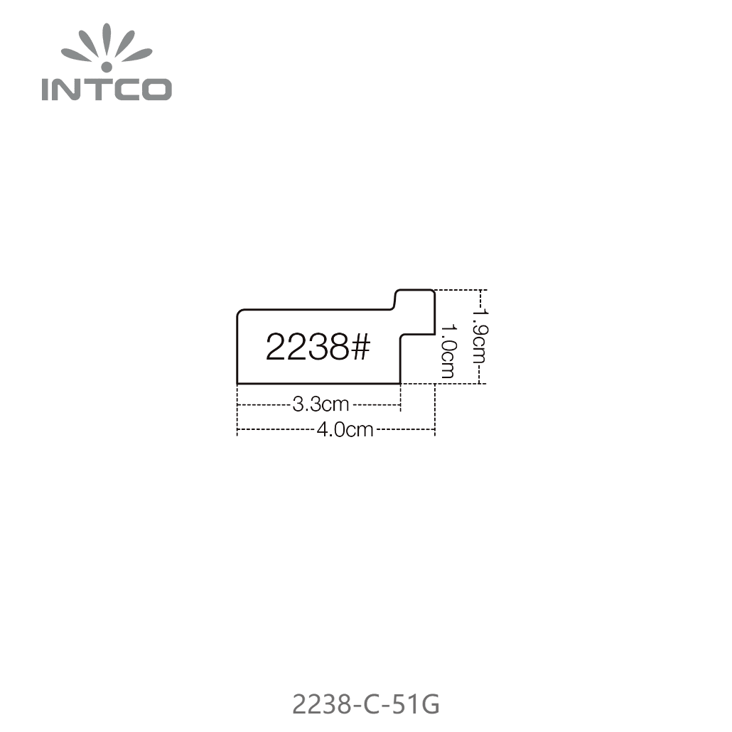 2238-C-51G — 4cm Multicolore PS Baguette d'Encadrement