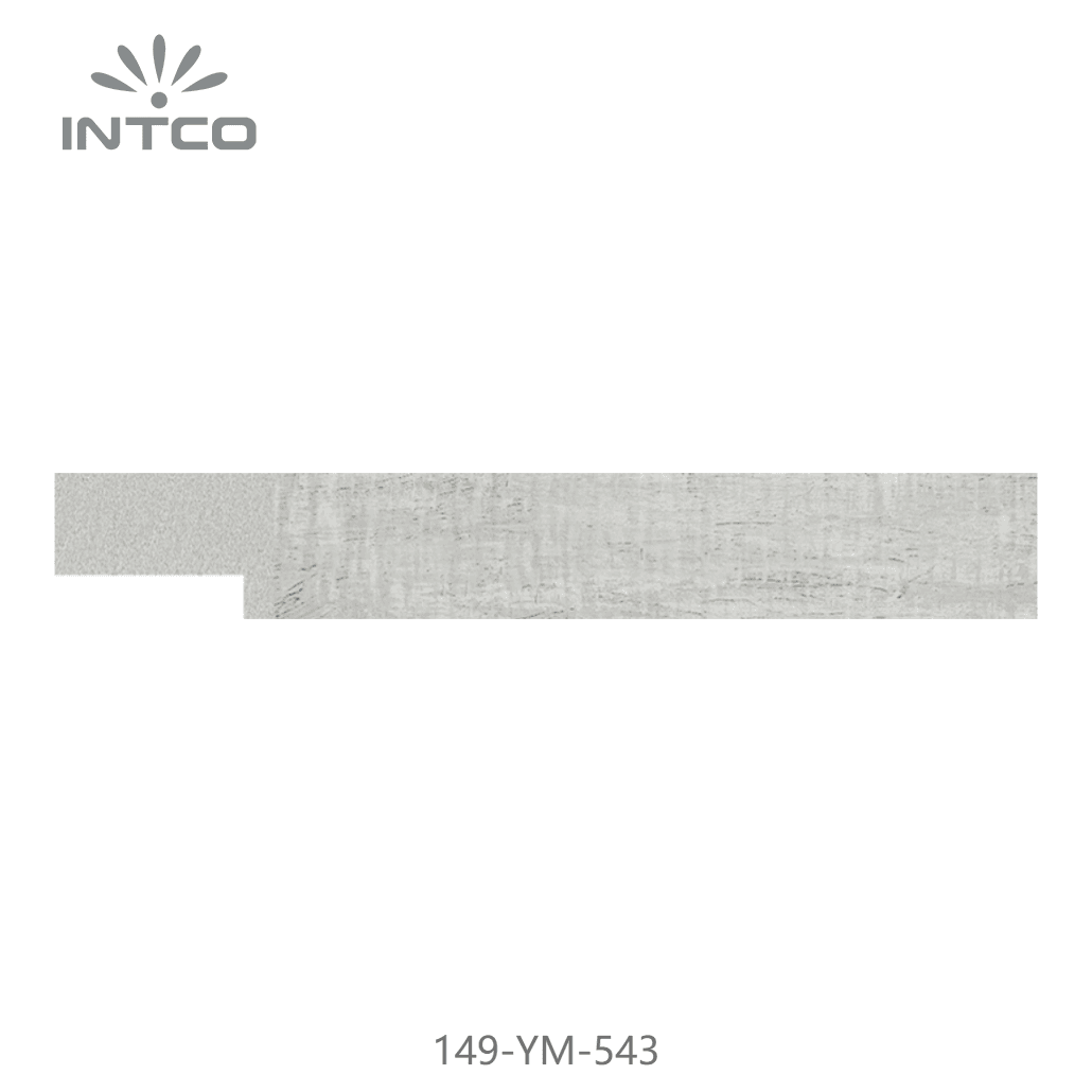 149-YM-543 — 2cm PS Bilderrahmenleiste