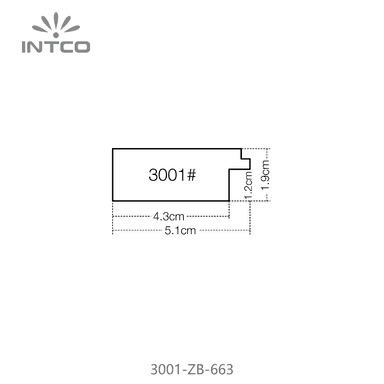 3001-ZB-663 — 5.1cm PS Picture Frame Moulding