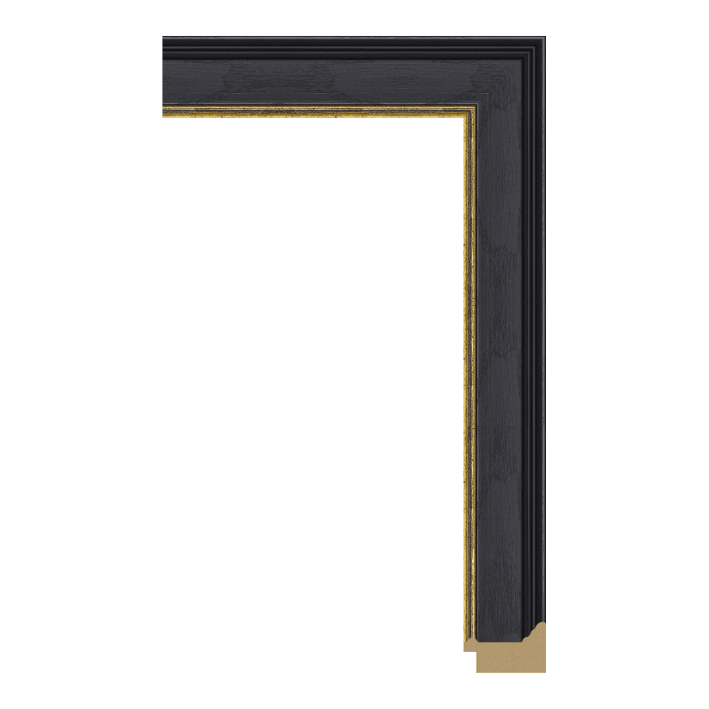 7950-223GT — 5cm Schwarz PS Bilderrahmenleiste