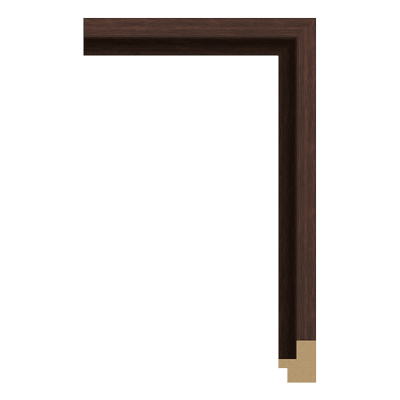 366-CT — 2.52cm Natur PS Bilderrahmenleiste
