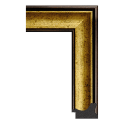 Ps Picture Frame Moulding,3360-64GT,4.93W GOLD Picture Frame Moulding