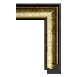 Ps Picture Frame Moulding,3360-64ST,4.93W GOLD Picture Frame Moulding